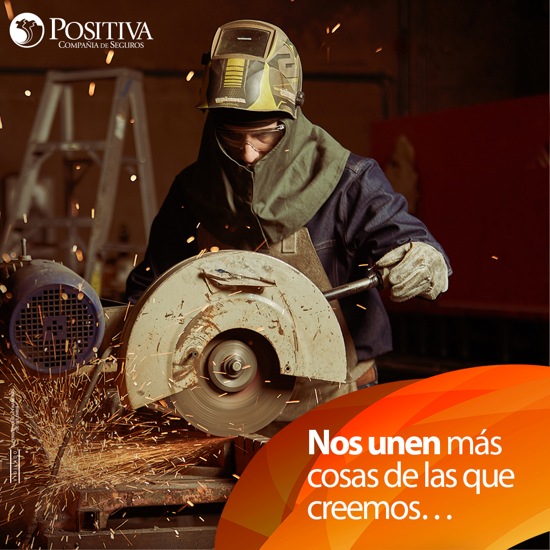 Formulario de Afiliacion Arl Positiva